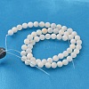 Natural Shell Beads Strands X-PRB001Y-2