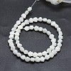 Natural White Shell Beads Strands SSHEL-P015-01A-8mm-2