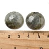 Natural Labradorite Cabochons G-C115-02A-26-3