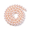 UV Plating Pearlized Glass Pearl Beads Strands GLAA-F128-01A-T09-4