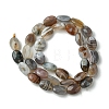 Natural Botswana Agate Beads Strands G-H004-B02-03-3