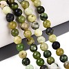 Natural Serpentine Beads Strands G-Q616-07B-1