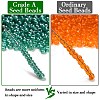 12/0 FGB Grade A Round Glass Seed Beads SEED-Q011-F520-2