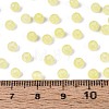 Drawbench Style Glass Seed Beads SEED-N008-11A-4
