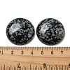 Natural Snowflake Obsidian Cabochons G-C115-02B-14-3