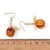 Transparent Acrylic 304 Stainless Steel Dangle Earrings EJEW-TA00828-5