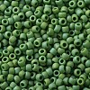 TOHO 11/0 Round Beads SEED-XTR11-0407F-2