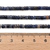 Natural Sodalite Beads Strands G-P608-A08-01-5