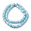 Electroplate Glass Beads Strands GLAA-D013-06B-2