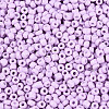 12/0 Baking Paint Glass Round Seed Beads SEED-S036-01A-08-3
