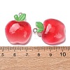Fruit Theme Opaque Resin Imitation Food Pendants RE-CBA49A8-04D-3