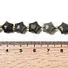 Natural Labradorite Beads Strands G-Z080-A33-10mm-5