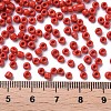 8/0 Glass Seed Beads X1-SEED-A010-3mm-45-3