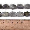 Natural Labradorite Beads Strands G-Q608-11E-5