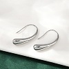 304 Stainless Steel Teardrop Dangle Earrings EJEW-S272-06P-2