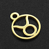 201 Stainless Steel Charms STAS-T014-LA111-2-2