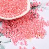 Glass Seed Beads SEED-H002-L-A237-1