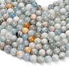 Natural Aquamarine Beads Strands G-F591-29B-10mm-01-4