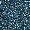 8/0 Glass Seed Beads X2-SEED-A005-3mm-23-2