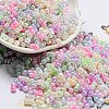 Glass Seed Beads SEED-K009-02B-23-1