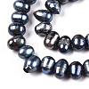 Natural Cultured Freshwater Pearl Beads Strands PEAR-N013-05L-01-3