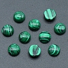 Synthetic Malachite Cabochons PW-WG51238-14-1