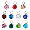 10Pcs Glass Rhinestone Charms STAS-TA0003-26B-2