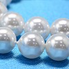 Round Shell Pearl Bead Strands BSHE-L011-16mm-A013-4