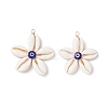 Natural Cowrie Shell with Handmade Blue Evil Eye Lampwork Pendants PALLOY-TA00274-1