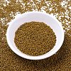 MIYUKI Delica Beads SEED-MY11-DB2110-2
