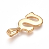 304 Stainless Steel Pendants STAS-F106-95G-S-01-2