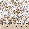 MIYUKI Round Rocailles Beads X-SEED-G009-RR0182-4