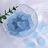Rough Raw Natural Aquamarine PW-WG1FC58-01-3