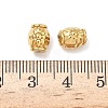 304 Stainless Steel Beads STAS-D204-37G-3