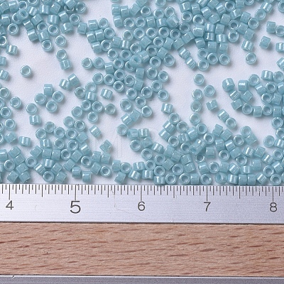 MIYUKI Delica Beads X-SEED-J020-DB0217-1