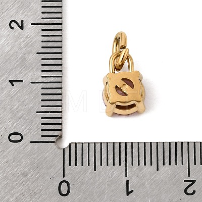 Birthdaystone Theme October 304 Stainless Steel Charms STAS-B128-60G-10-1