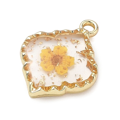 Alloy Epoxy Resin Pendants AL-Z001-08G-01-1