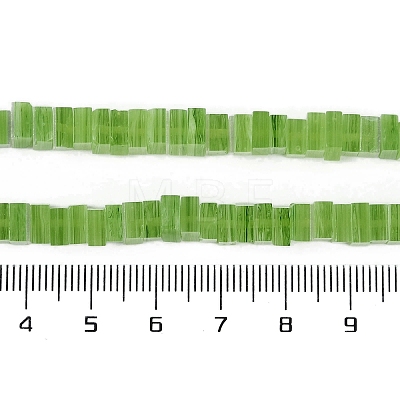 Handmade Lampwork Beads Strands LAMP-Q037-02B-14-1