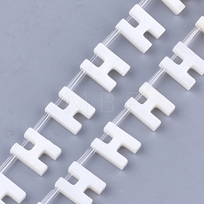 Freshwater Shell Beads X-SHEL-T012-59H-1