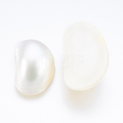 Natural White Shell Mother of Pearl Shell Cabochons SSHEL-P014-01A-1