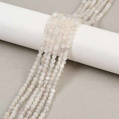 Natural White Moonstone Bead Strands G-G970-37-4mm-1