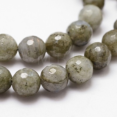 Natural Labradorite Beads Strands X-G-D840-10-8mm-1