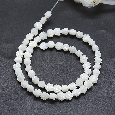 Natural White Shell Beads Strands SSHEL-P015-01A-8mm-1