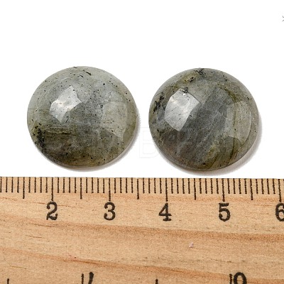 Natural Labradorite Cabochons G-C115-02A-26-1