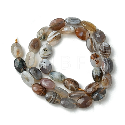Natural Botswana Agate Beads Strands G-H004-B02-03-1
