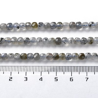 Natural Labradorite Beads Strands G-M421-B02-01-1