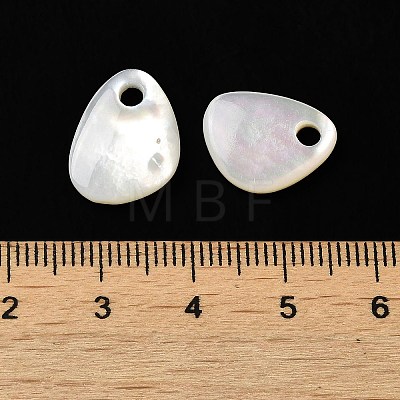 Natural White Shell Teardrop Charms SSHEL-M022-02-1