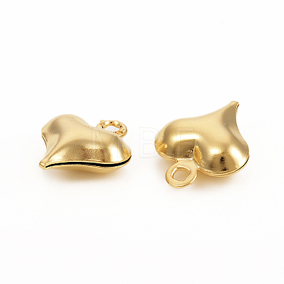 304 Stainless Steel Charms LS-STAS-I149-05A-G-1
