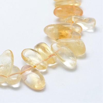 Natural Citrine Beads Strands G-K180-O08-1