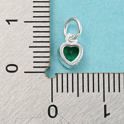 925 Sterling Silver Charms STER-G035-01E-02-1